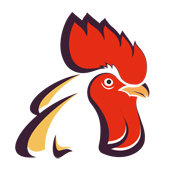 (10384期)小红书电商实战速成课,让你快速掌握红书电商核心技能(28课)-卡奇诺-网赚一站式