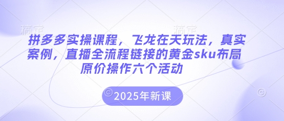 拼多多实操课程,飞龙在天玩法,真实案例,直播全流程链接的黄金sku布局原价操作六个活动-卡奇诺-网赚一站式