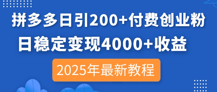 (14217期)拼多多日引200+付费创业粉,日稳定变现4000+收益,2025年最新教程-卡奇诺-网赚一站式