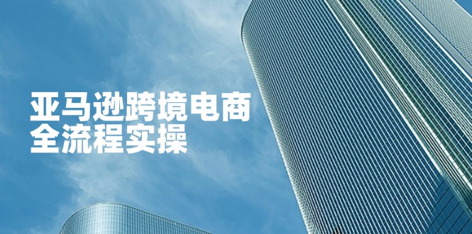 (14252期)亚马逊跨境电商全流程实操,教你从零开始,掌握店铺运营与广告技巧-卡奇诺-网赚一站式