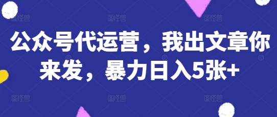 公众号代运营,我出文章你来发,暴力日入5张+【揭秘】-卡奇诺-网赚一站式