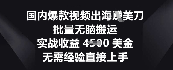 国内爆款视频出海挣美刀,批量无脑搬运,实战收益4.5k,无需经验直接上手-卡奇诺-网赚一站式