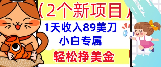 2个新项目,轻松挣美金, 1天收入89美刀,小白专属,干货分享-卡奇诺-网赚一站式