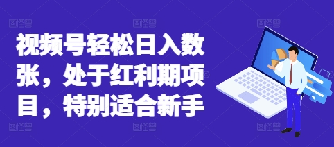 视频号轻松日入数张,处于红利期项目,特别适合新手-卡奇诺-网赚一站式