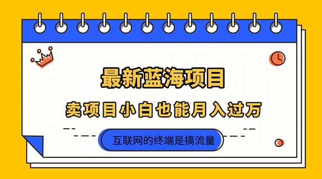 （14289期）2025年最新蓝海项目，卖项目小白也能月入过万-卡奇诺-网赚一站式