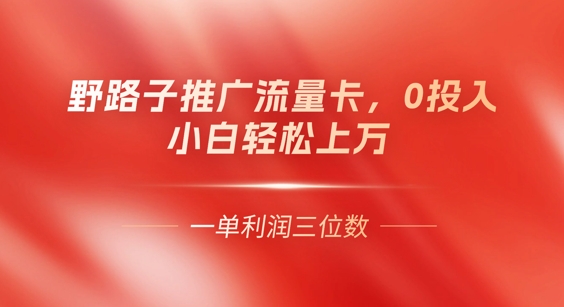 0门槛推广流量卡,一单收益上百,0投入,小白月入过W-卡奇诺-网赚一站式