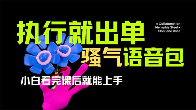 (14170期)爆火全网的开车导航骚气语音包,只要执行就出单,小白看完课程就能实操...-卡奇诺-网赚一站式