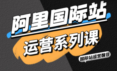 醒目老师·阿里国际站运营系列课(更新3月)-卡奇诺-网赚一站式