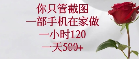你只管截图,一部手机在家操作,一小时120.一天5张【揭秘】-卡奇诺-网赚一站式